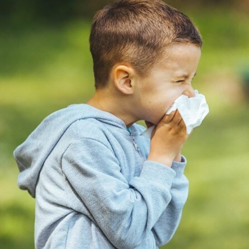 alergia de ninos
